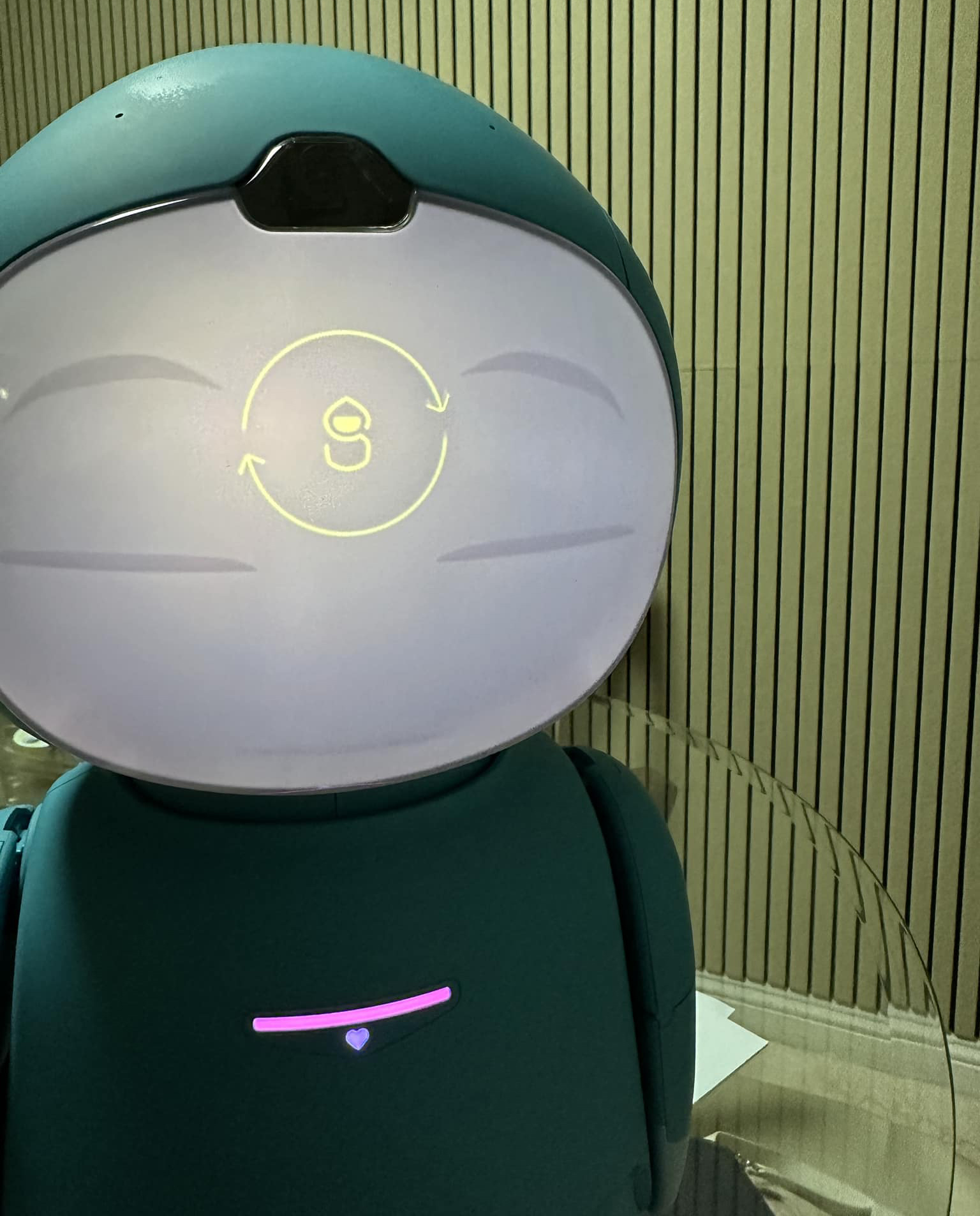 Инвеститорски интерес към роботите-компаньони с изкуствен интелект