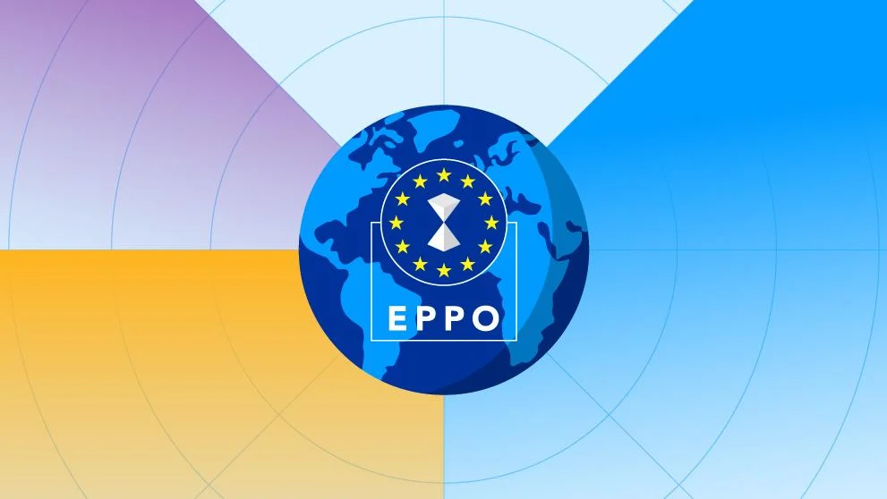 Европейската прокуратура, Мащабна акция в ЕС срещу схема за ДДС измами с луксозни автомобили за над 100 млн. евро