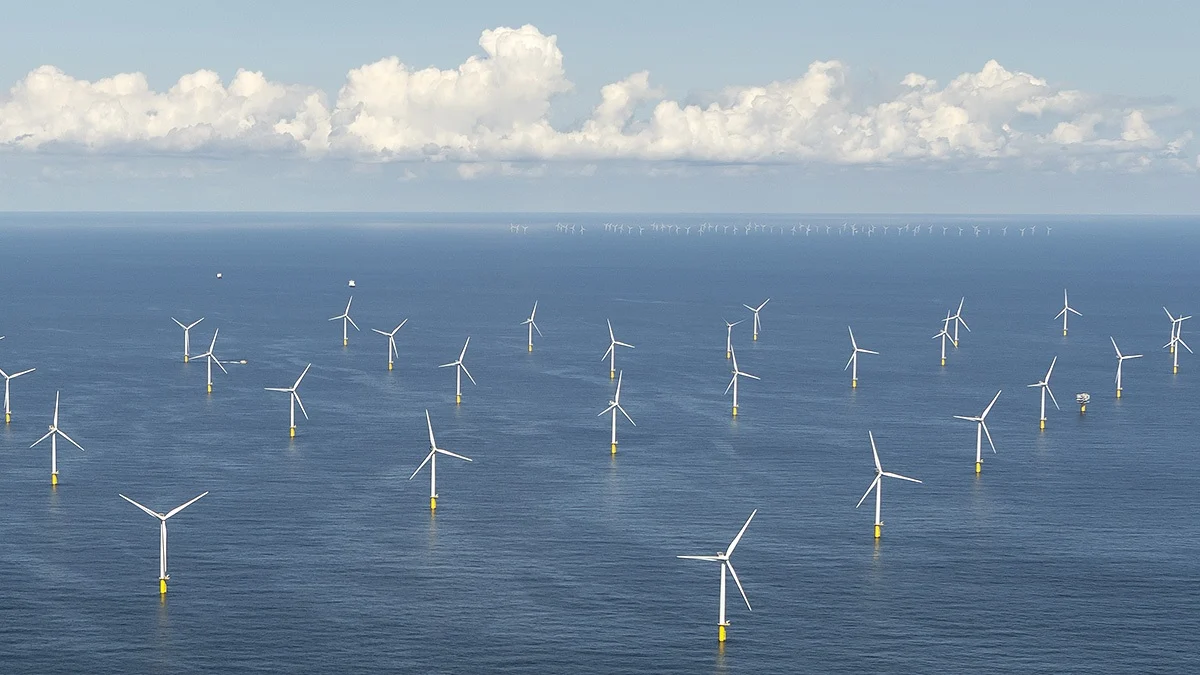 Япония обмисля повторен търг за офшорните ветропаркове на Mitsubishi