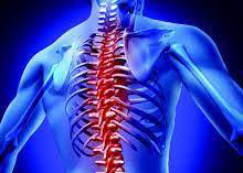 хиропрактика