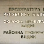 Видин