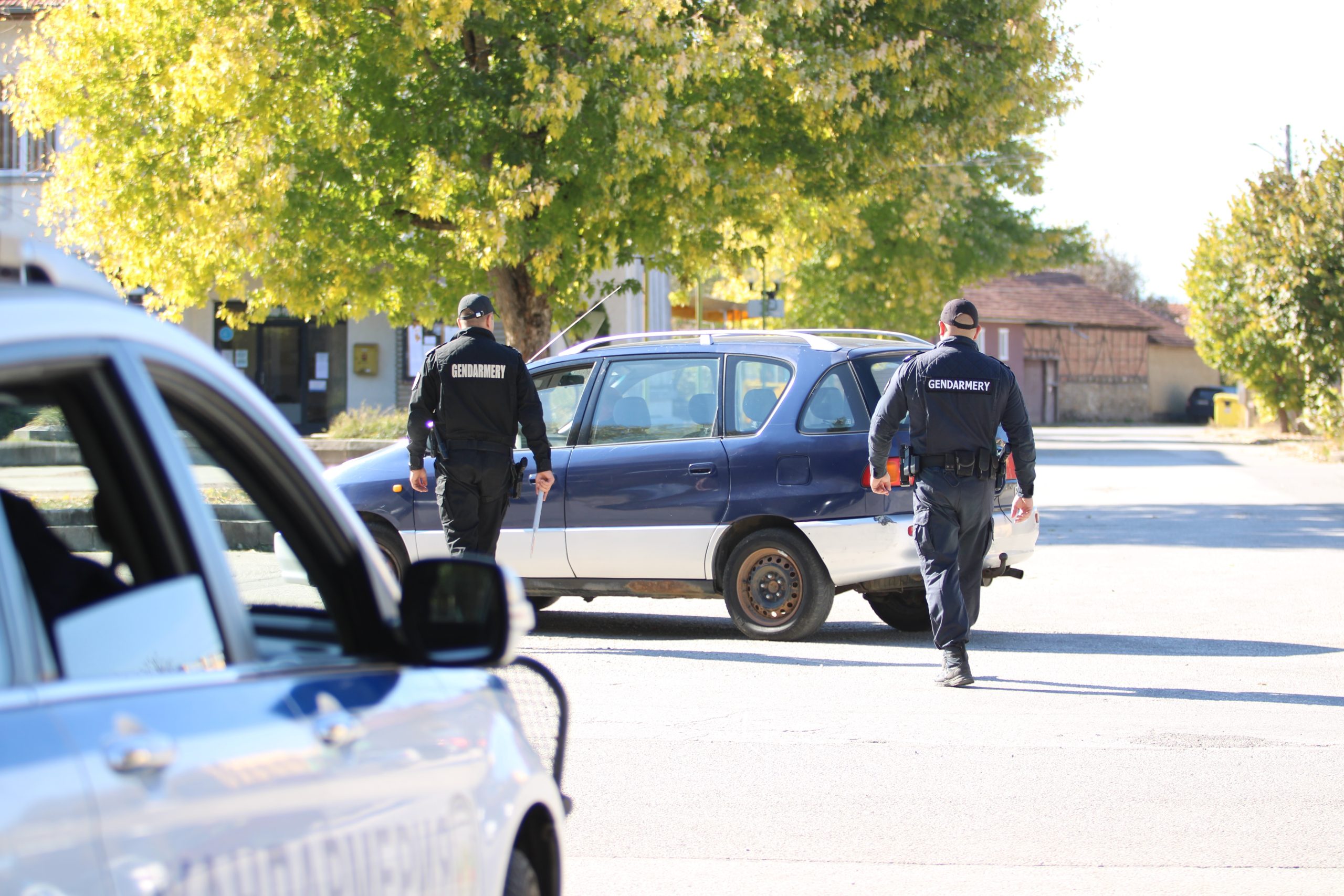 избори акция полиция мвр