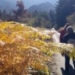 Зелена физическа активност: разходка разходки Упражнения на открито за повишаване на настроението