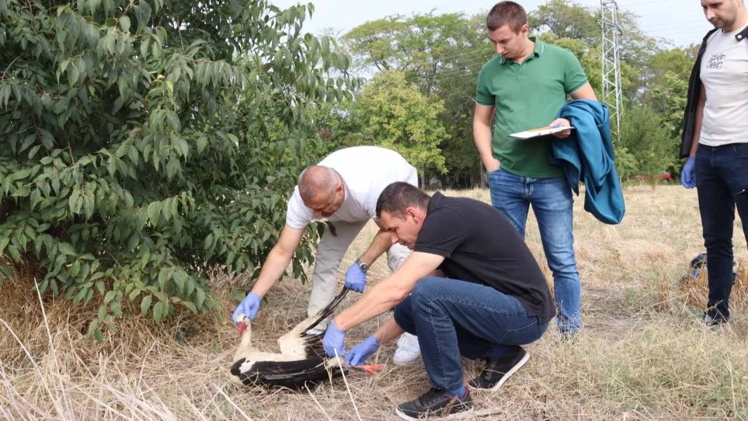 инспектор-в-полицията
