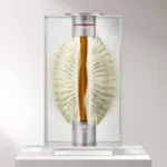 46-годишното уиски Port Ellen Prism очаква цена от 150 хил. лири на благотворителен търг