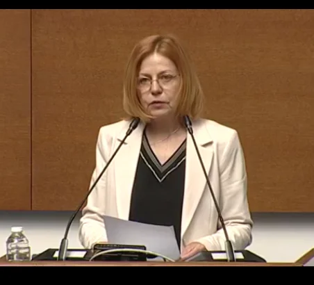 декларации, Йорданка Фандъкова