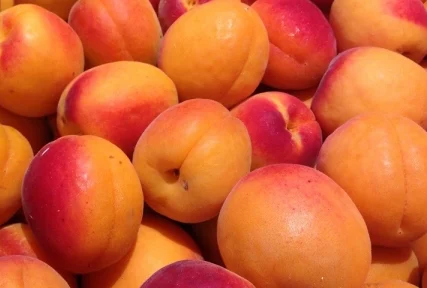 Кайсиите са пълни с полезни вещества за сърцето и храносмилането