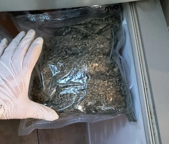 СДВР с успешен удар срещу дилъри на канабис 10 канабис