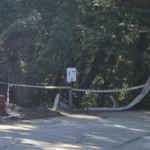 Рали пилотът, врязъл се в публиката, е дал положителна проба за наркотици