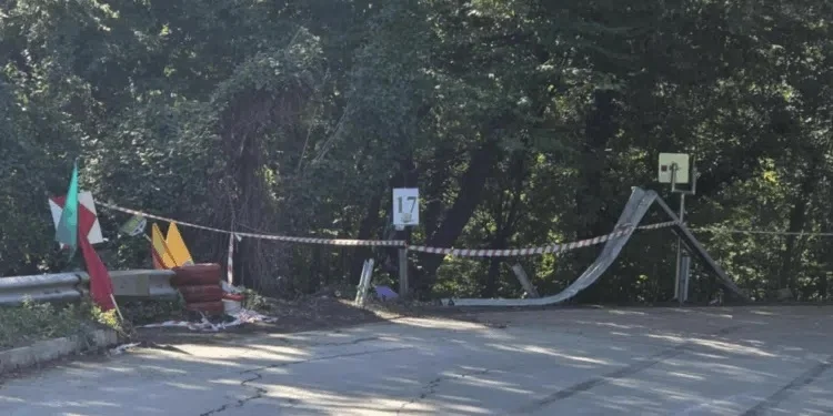 Рали пилотът, врязъл се в публиката, е дал положителна проба за наркотици