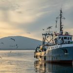 Програма морско дело, кораб