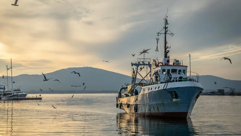 Програма морско дело, кораб