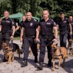 кучета гдбоп