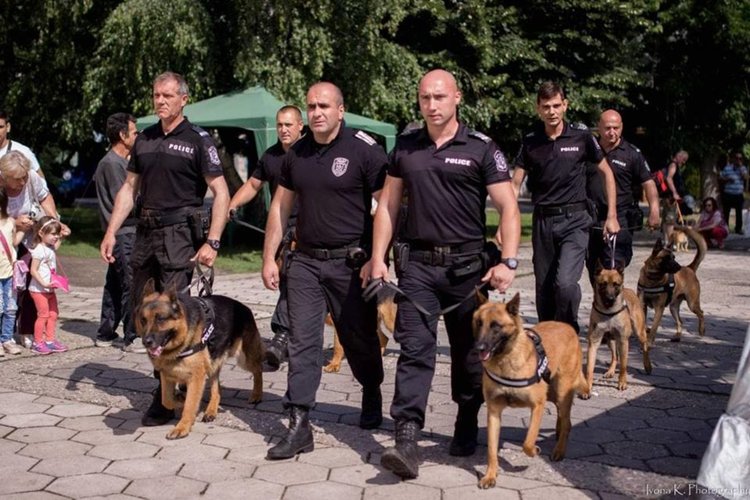 кучета гдбоп