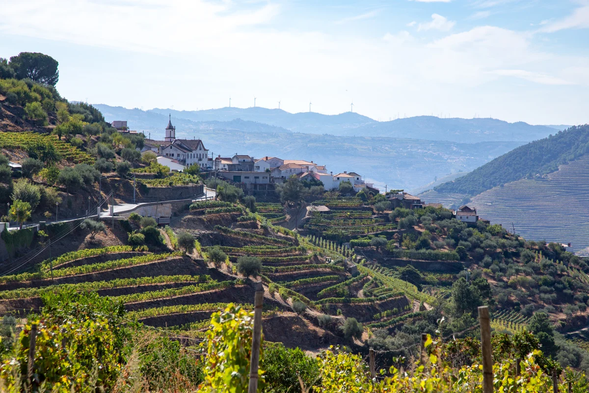 kulinarnite turove v poslednite godini otbelyazvat glavolomen rast zaradi mnogostepennite deguktaczionni menyuta i markoto vino koeto gi pridruzhava 2