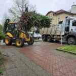 данъчните оценки