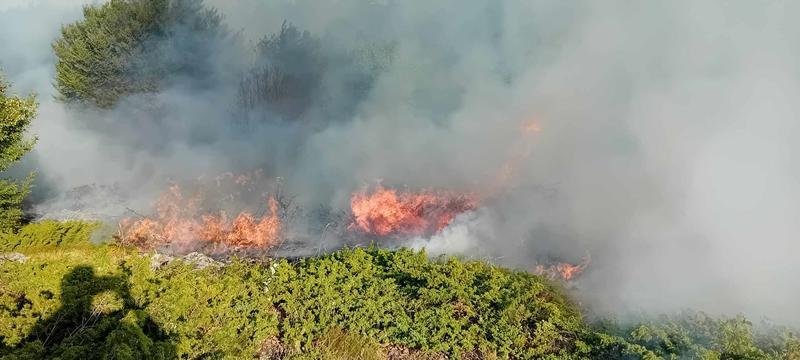 воден, пожар