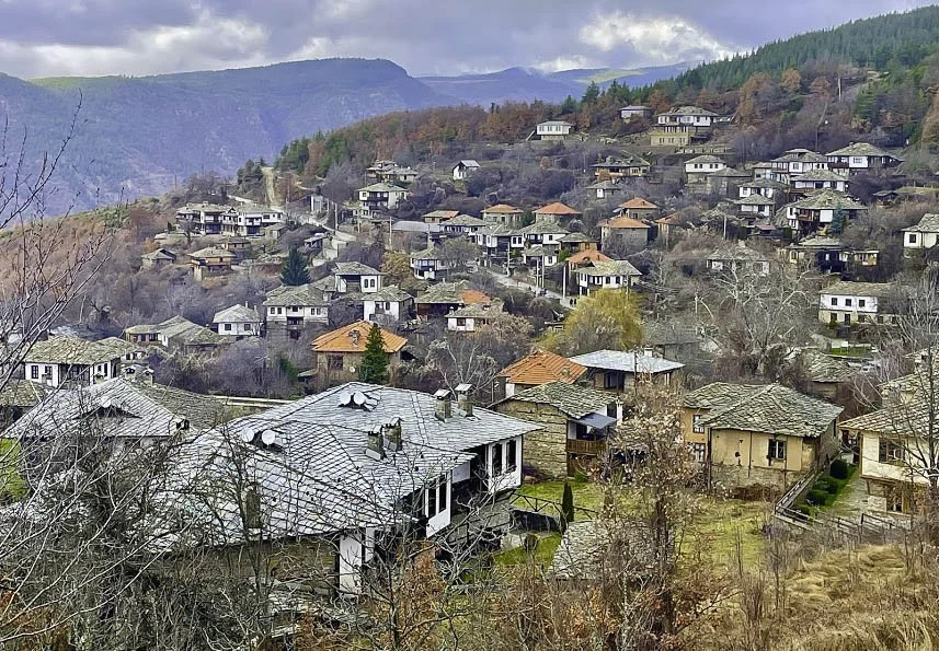 Къщите за гости