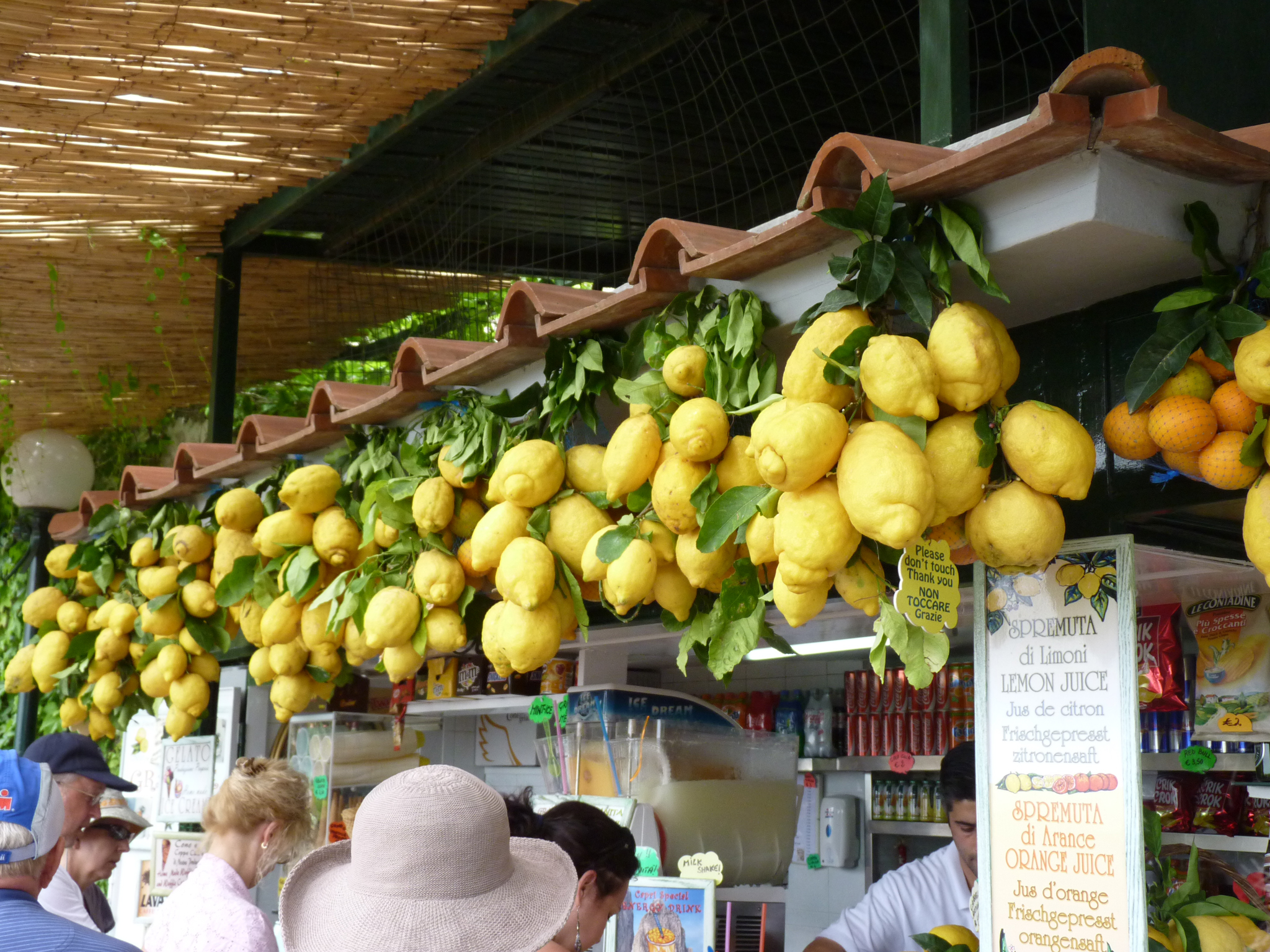 limonite v raiona na capri sorento i amalfi sa specialen sort golemi sladki i aromatni 2