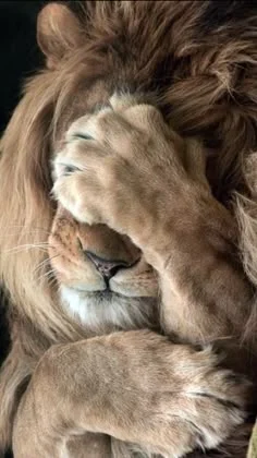 На плюс сме от членството в ЕС, но вместо да мъркаме – мънкаме