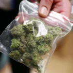 Младеж се опита да пренесе през границата 18 кила марихуана, натъпкани в резервоара