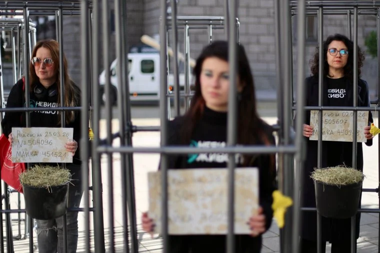 Граждани настояват за забрана на клетките за телета