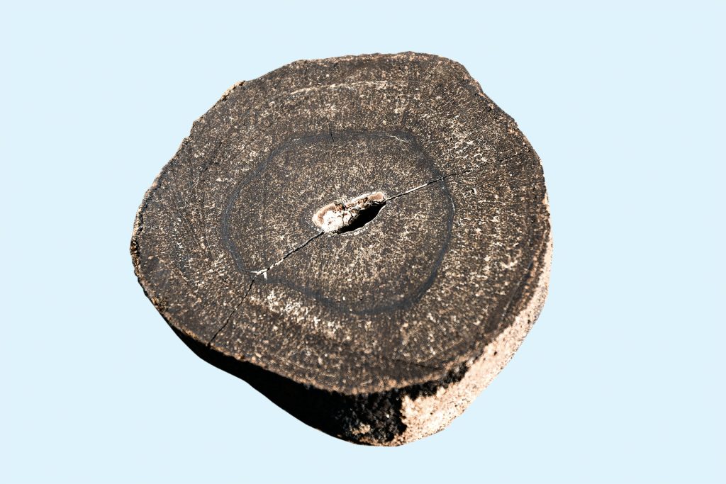 Япония откри ново находище с кобалт и никел на стойност 26 млрд. долара