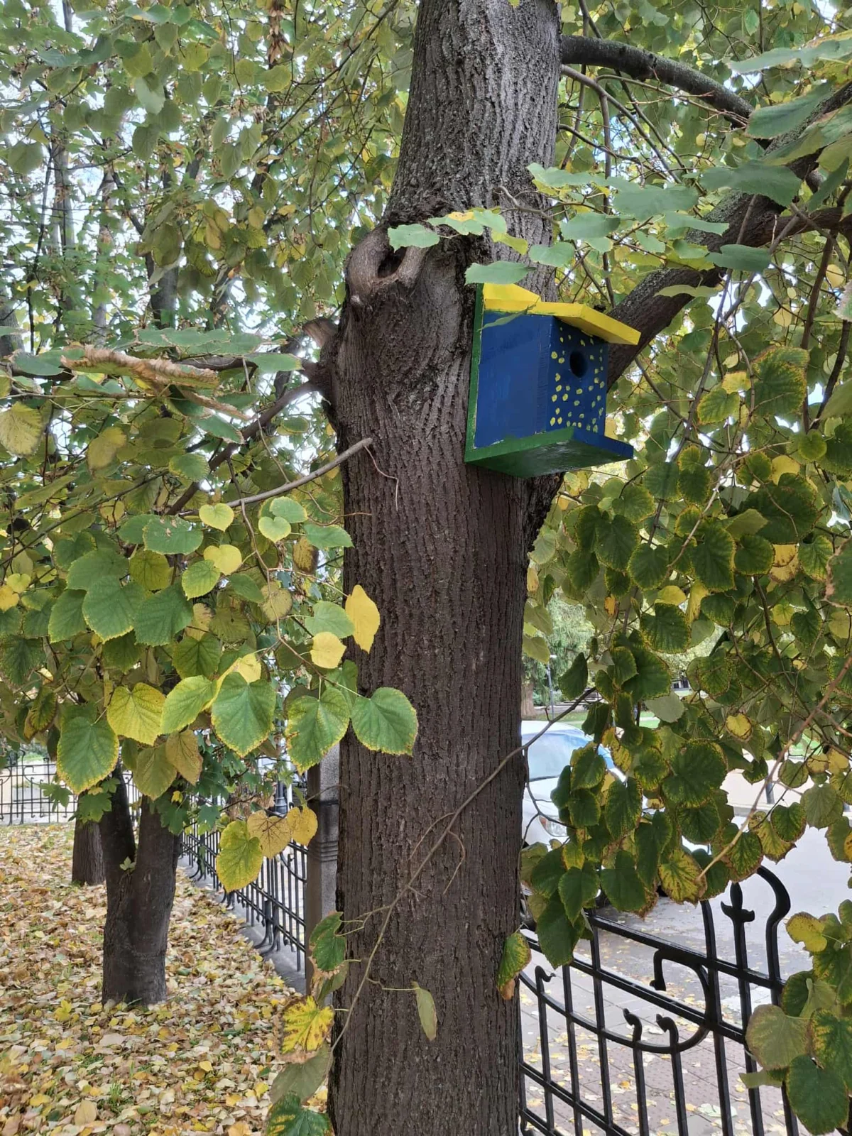 montirane na kashtichka