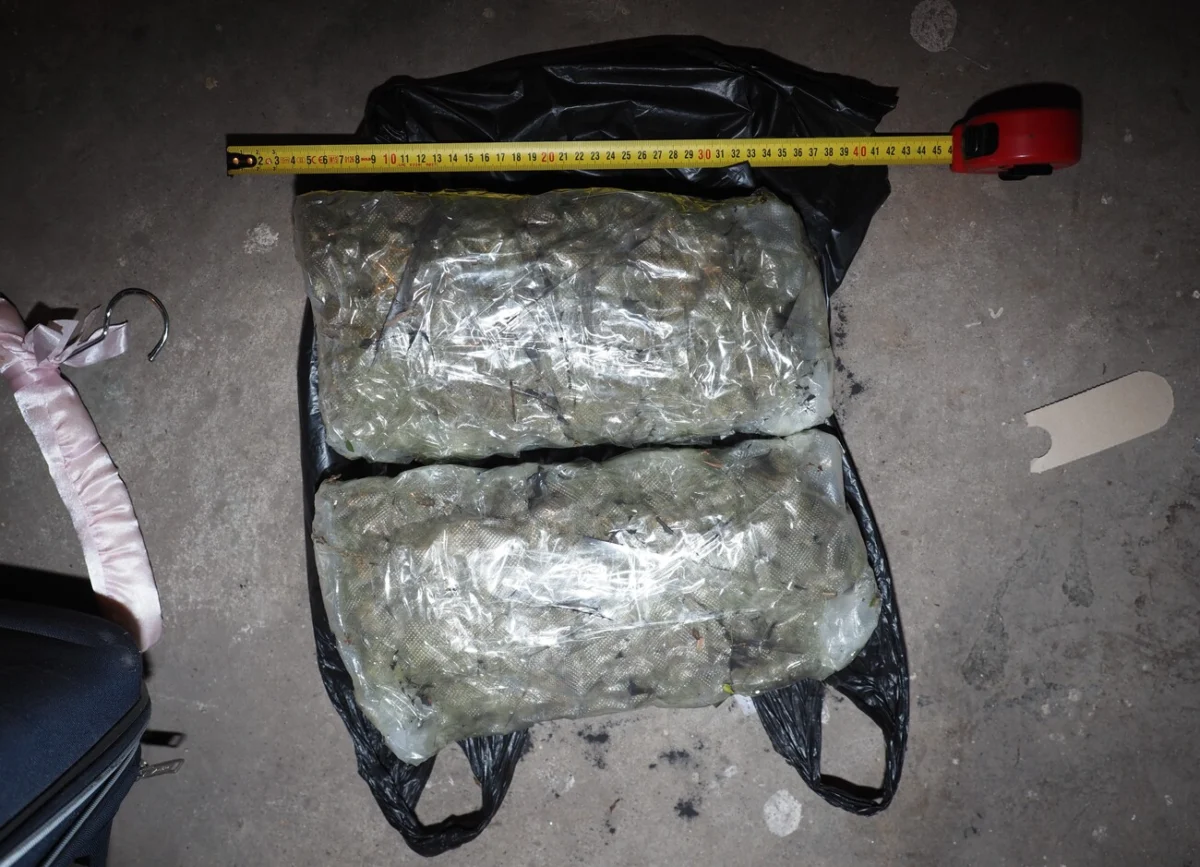 При спецакция в Русе, разбиха схема за пласиране на дрога