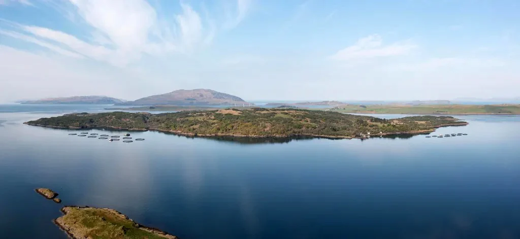 Шотландският остров Шуна с руини на замък и ферма се продава за 5.5 млн. паунда 1 Шотландският остров Шуна с руини на замък и ферма се продава за 5.5 млн. паунда