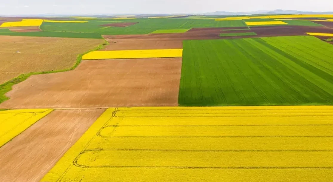 "Адванс Терафонд" разшири портфейла си със 29.5 ха земеделска земя