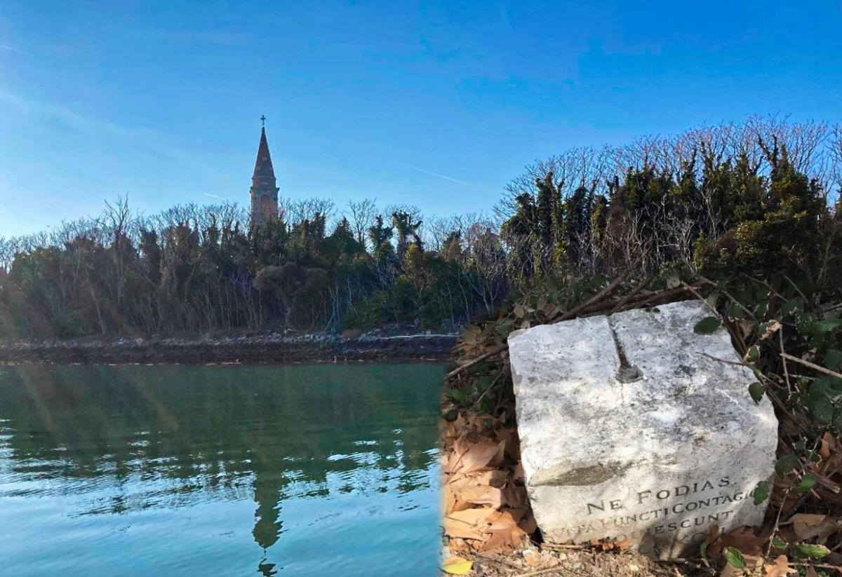 „Ne Fodias“ означава на латински „не копай“, което може да се преведе и като „не притеснявай/не закачай“.