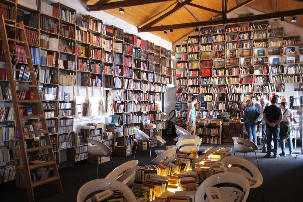 obidos e svurzan s knigite i literaturata v mnogo aspekti