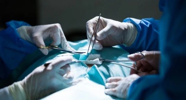 тестис операция