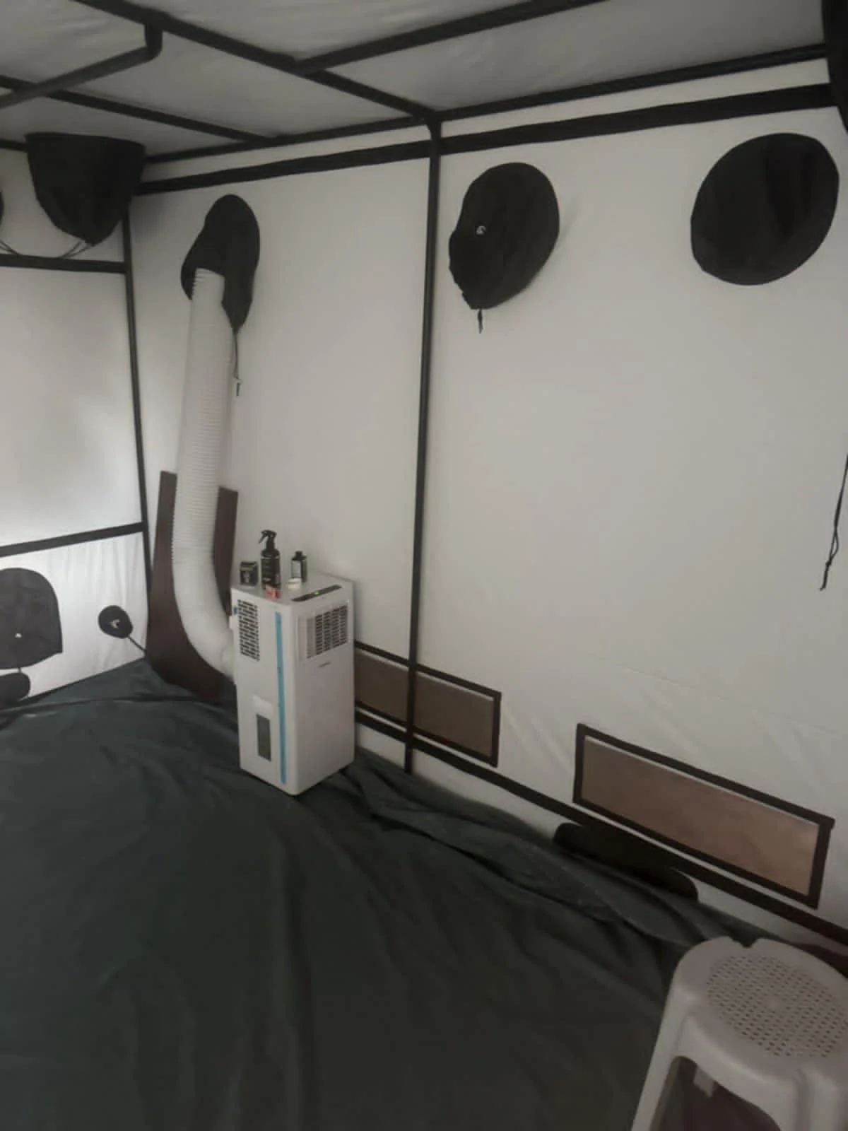 oranzheriya kanabis 2