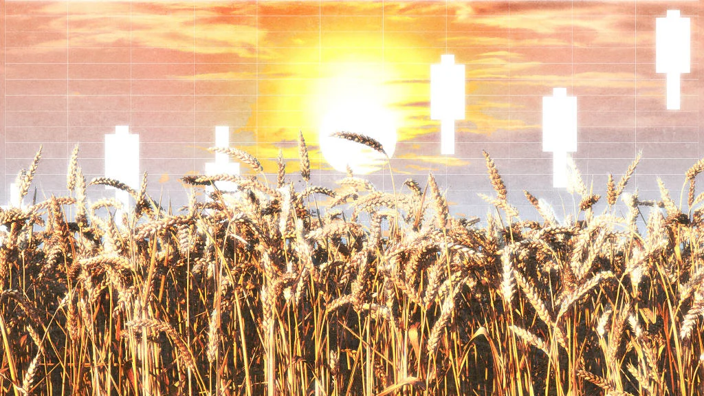 BSC: Екстремните метеорологични условия водят до скок на цените на храните по света