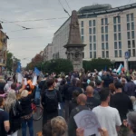 окупирай мафията