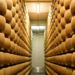 Екстремните горещини застрашават производството на италианския пармезан