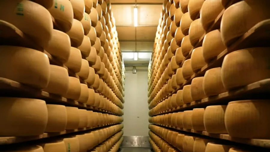 Екстремните горещини застрашават производството на италианския пармезан