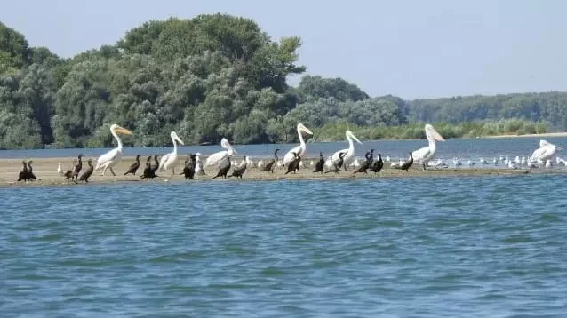 persina priroden park