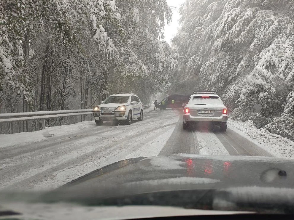 МВР проучва сигнал за трима мъртви в хижа край „Петрохан“