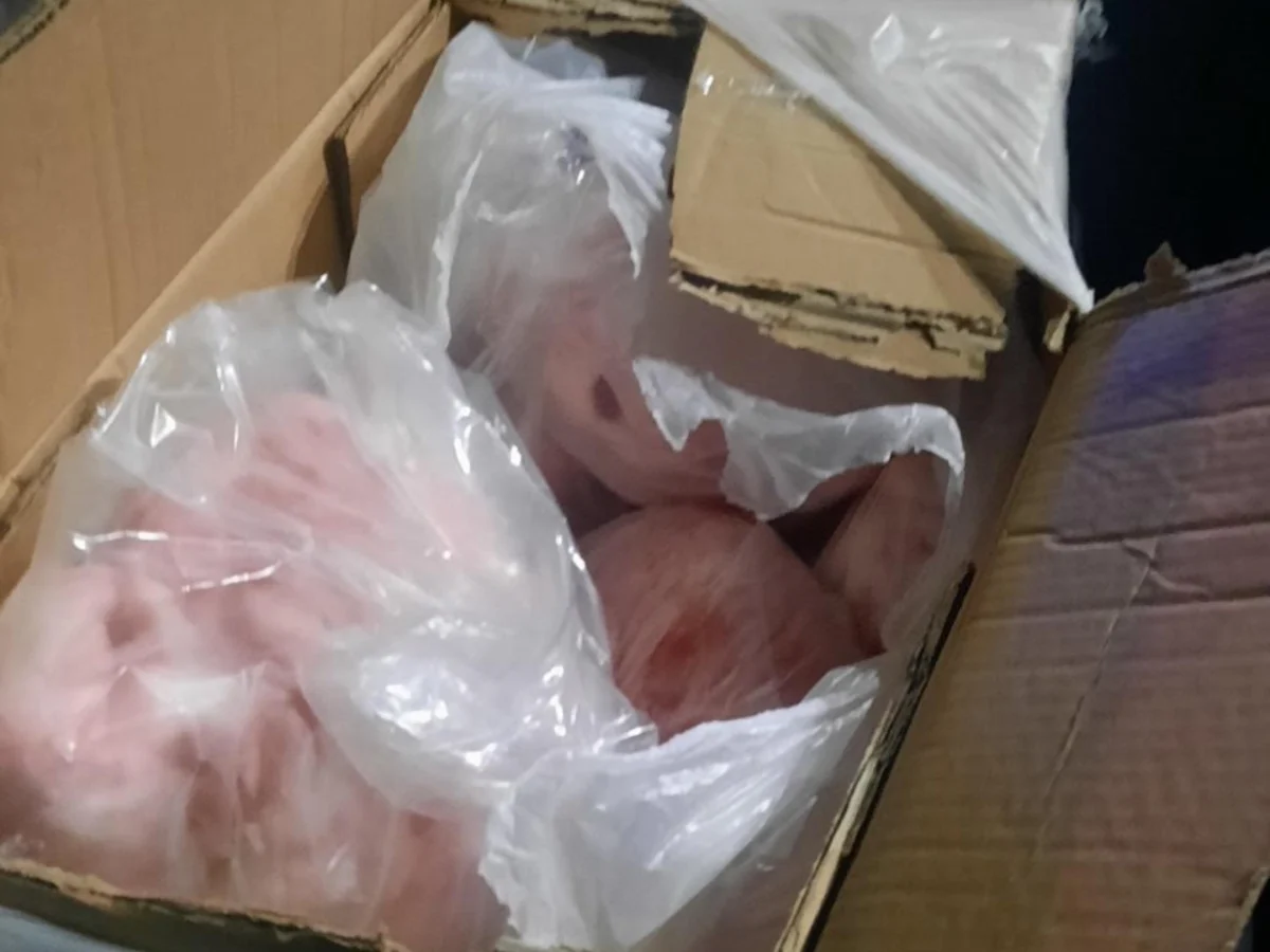БАБХ откри над 2 тона храни без етикети в автобуси край Созопол