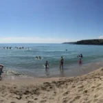 Синеморец