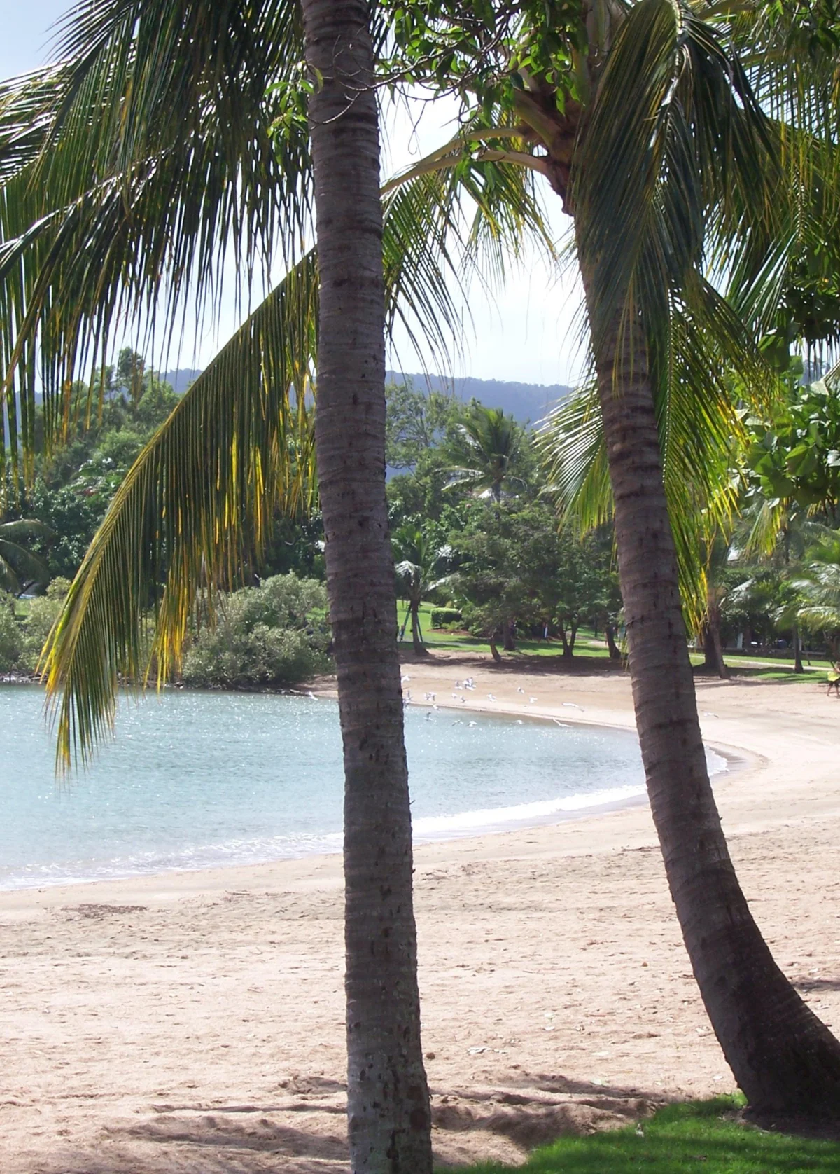 Островите Уитсъндей – къс от Рая, паднал на Земята 3 plaj na hamilton