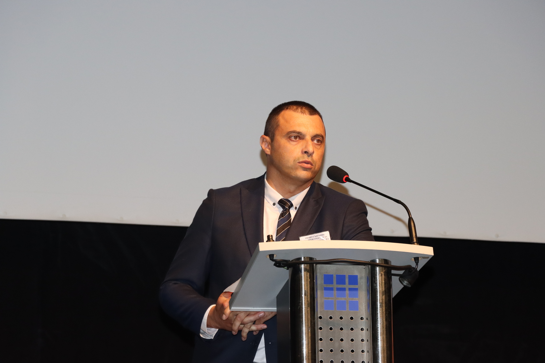 plamen petkov