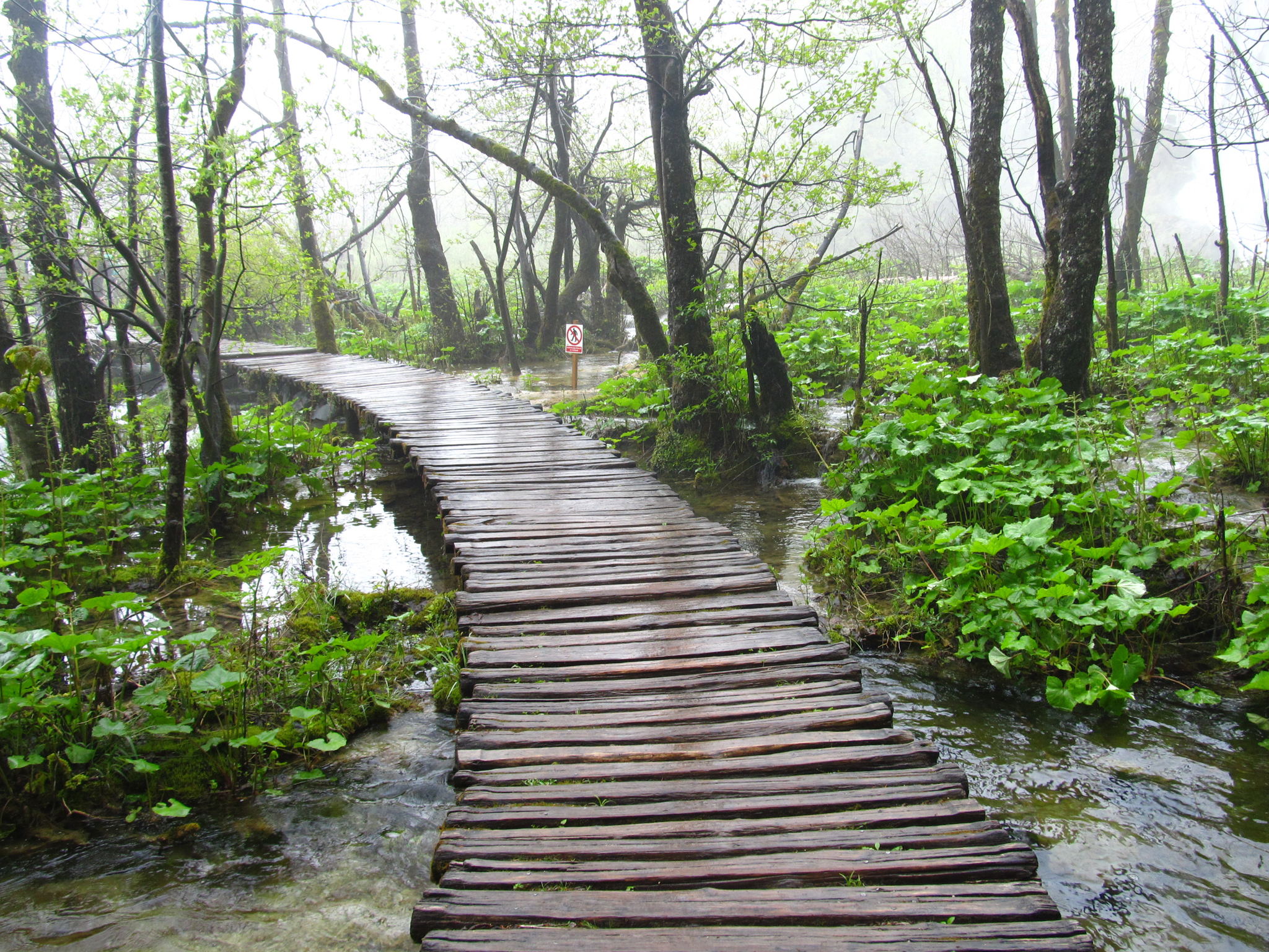 Омагьосващата музика на Плитвишките езера 2 plitvice 25