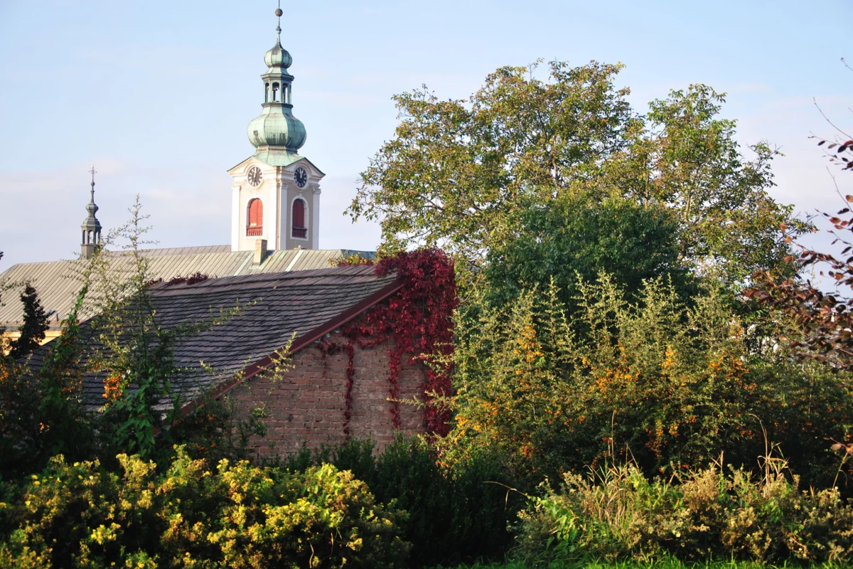 podobni gledki izobilstvat iz bohemiq