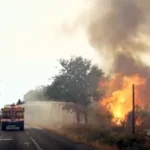 Хиляди бягат от горските пожари във Франция и Испания