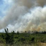 ам тракия пожар разклон за велинград