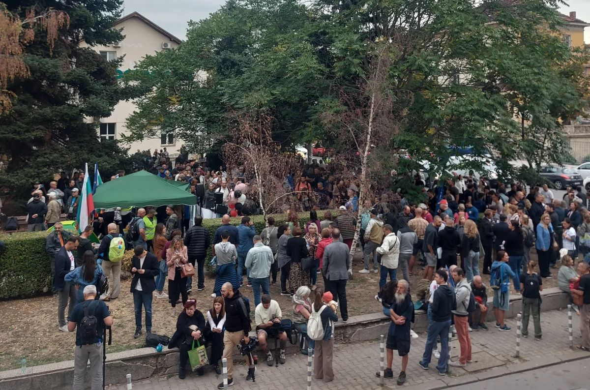 protest boecz vrabcha 17